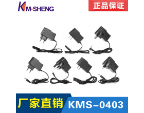 Manufacturer selling new KMS-0403 power adapter 10W switch power 5V adapter custom models